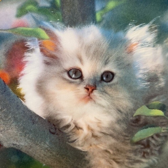 Out on a limb by Nancy Mathews 8” Collectors Plate #F5758 - Picture 2 of 7